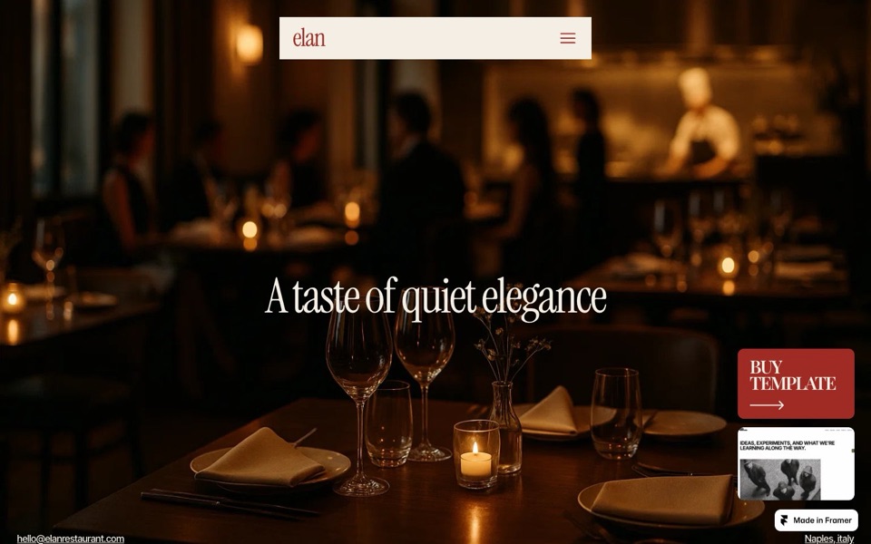 Elan — website design by Studio Duo