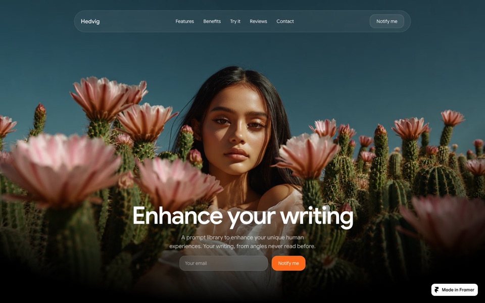 Hedvig — website design by Felix Clausen