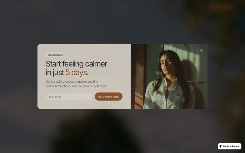 Holistic — website design by Hamza Ehsan